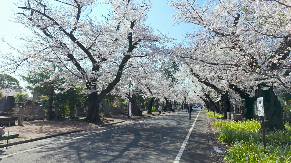 古き良き東京の暮らしを再発見